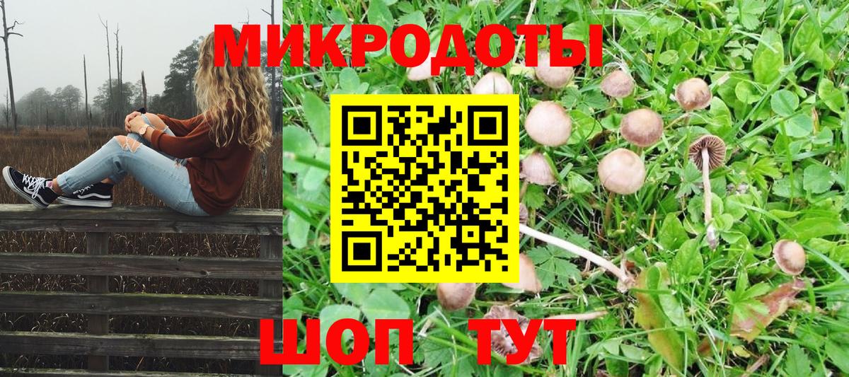 Галлюциногенные грибы MAGIC MUSHROOMS Нижневартовск